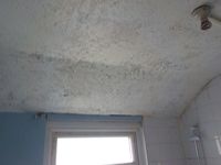 Textured ceiling coating
